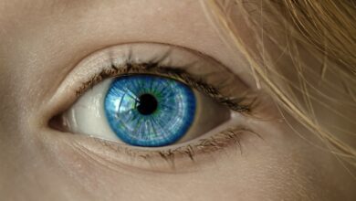 eye, blue eye, iris, pupil, eyeball, eyelashes, retina, eyesight, vision, look, looking, eyelid, face, close up, view, see, optics, eye, eye, eye, eye, eye
