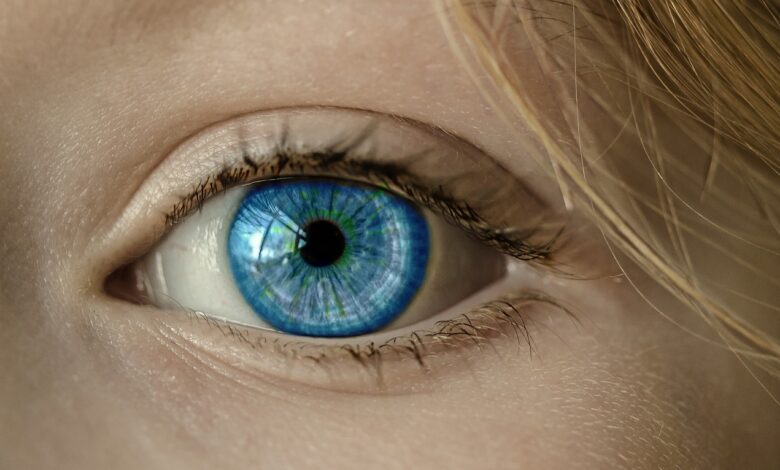 eye, blue eye, iris, pupil, eyeball, eyelashes, retina, eyesight, vision, look, looking, eyelid, face, close up, view, see, optics, eye, eye, eye, eye, eye