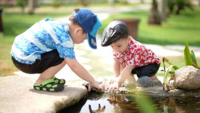 people, little boys, park, children, happy, kids playing, cute, happiness, children playing, childhood, friendship day, children, children, children, children, children, kids playing, children playing