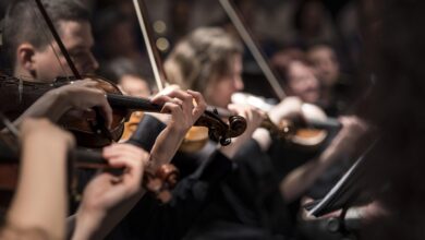 violins, musicians, orchestra, instruments, bowed string instruments, musical, musical instruments, classical music, concert, music, performance, string instruments, orchestra, orchestra, orchestra, orchestra, orchestra, concert, music, music, music