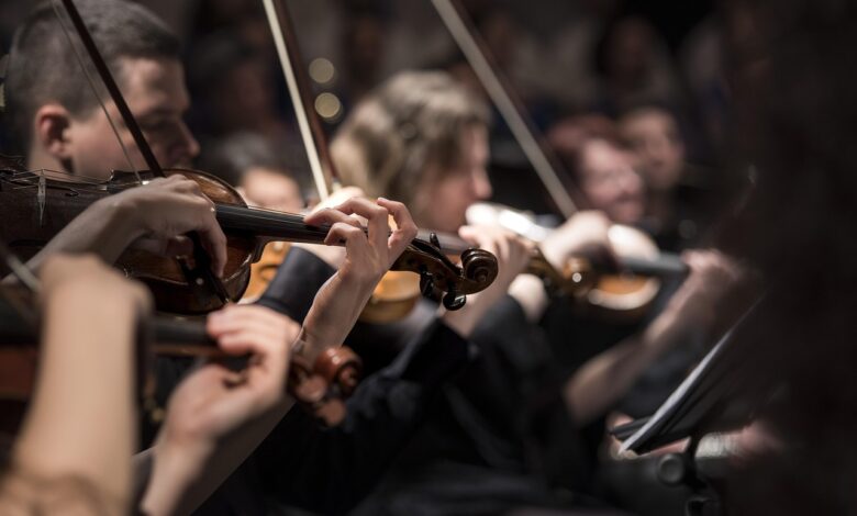 violins, musicians, orchestra, instruments, bowed string instruments, musical, musical instruments, classical music, concert, music, performance, string instruments, orchestra, orchestra, orchestra, orchestra, orchestra, concert, music, music, music
