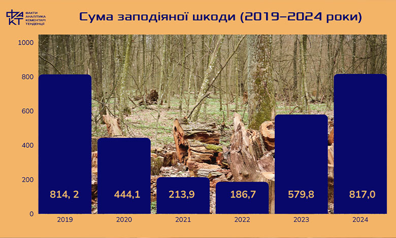 Коли зникає ліс — зникає країна: екологічна ціна тіньового бізнесу
