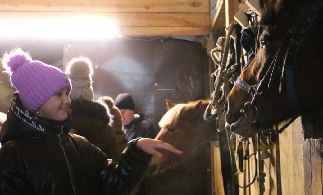 Врятовані, щоб рятувати інших: як коні в Харкові допомагають відновлюватися дітям і військовим (фото)