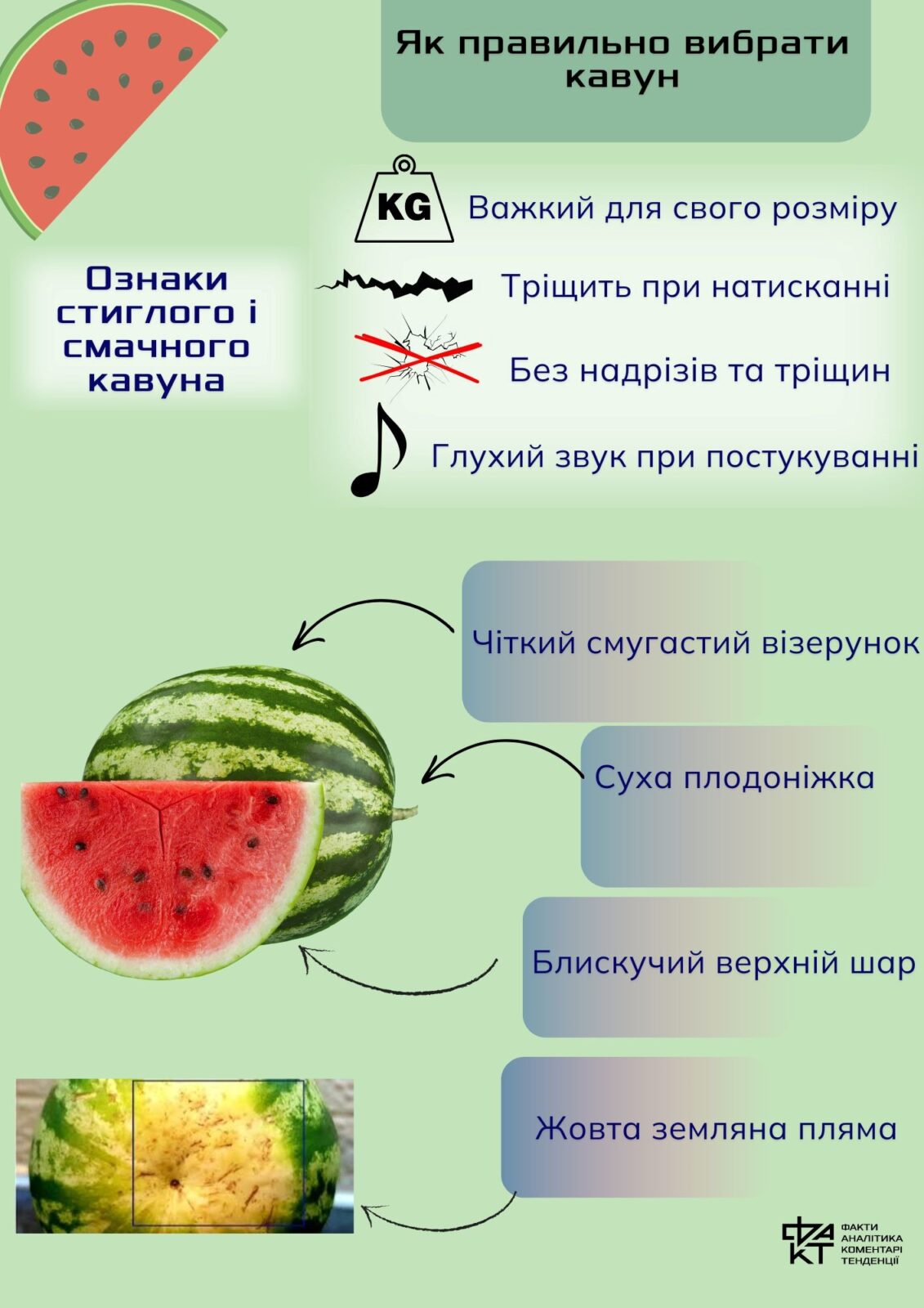 Как "перейти на арбузы" правильно (инфографика)