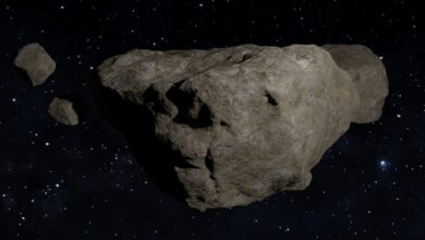 meteorite, space, debris, pierre, asteroid, asteroid, asteroid, asteroid, asteroid, asteroid