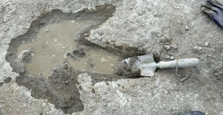 Archaeologists find longest continuous dinosaur footprint in Europe